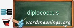 WordMeaning blackboard for diplococcus